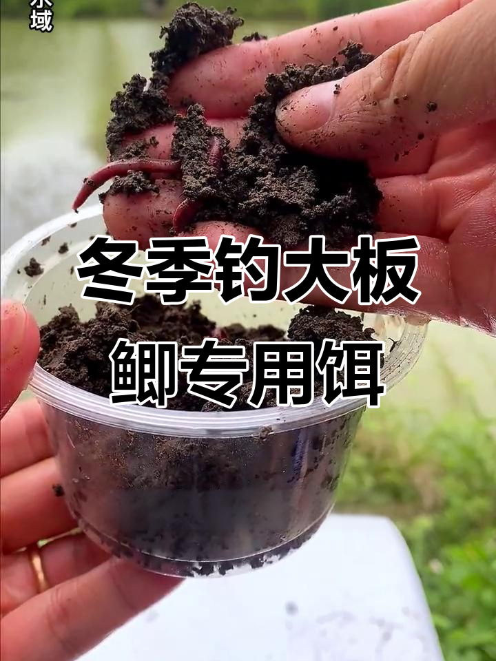 蚯蚓用什么饵料钓(蚯蚓用什么饵料钓鱼)