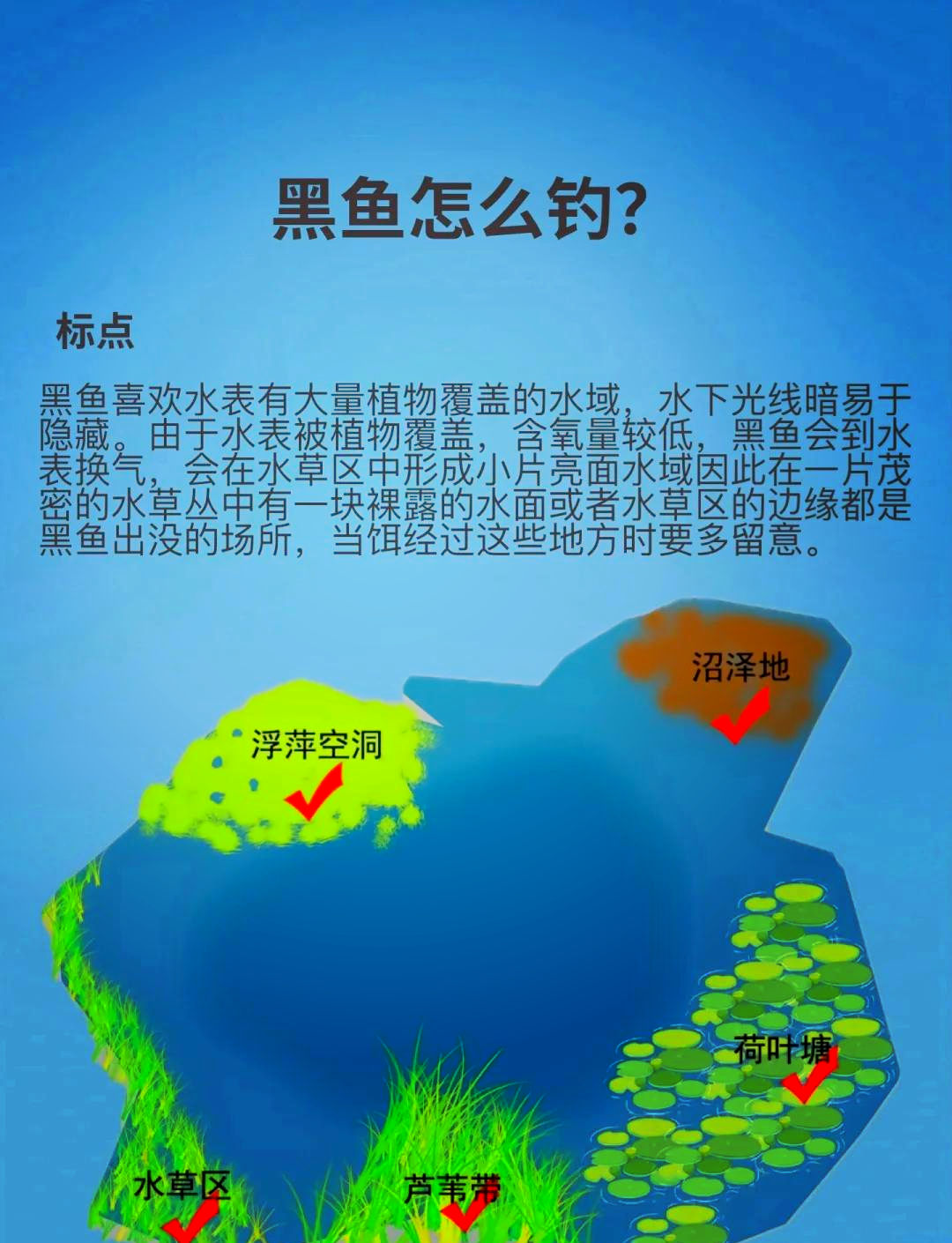 路亚黑鱼早上几点(路亚黑鱼一天什么时间最好)