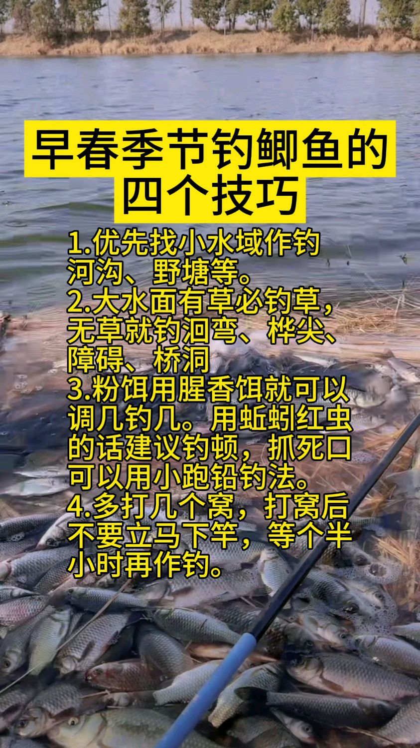 徐清华钓小鲫鱼技巧(徐清华是几级垂钓大师)