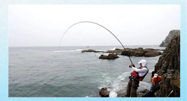 海钓鲷鱼钓法(海钓鲷鱼钓法大全)
