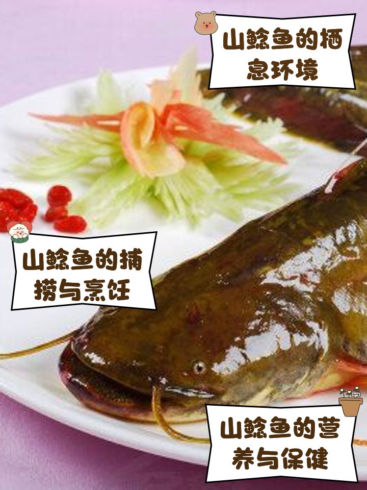 长江鲶鱼的钓法技巧(教师本学期收获了什么)