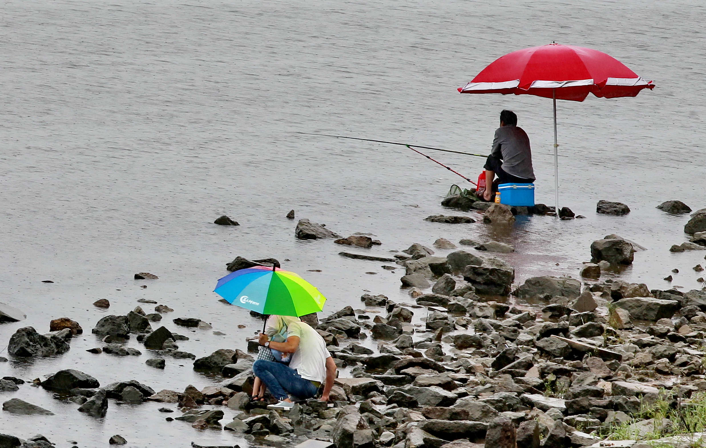下雨天钓鱼视频技巧(下雨天钓鱼视频技巧教程)