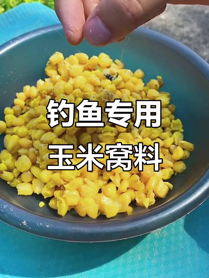 小鱼多什么饵料(小鱼多用什么饵钓鲫鱼)