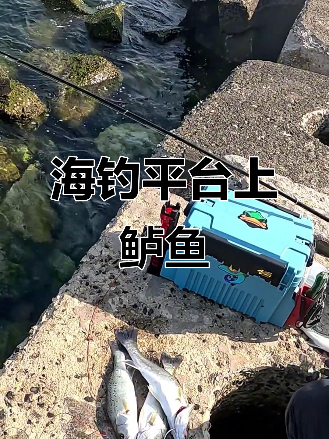 什么月份海钓好(什么时候海钓最好)