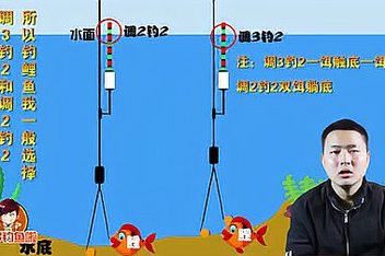 海钓夜晚钓草鱼技巧(海钓夜晚钓草鱼技巧视频)
