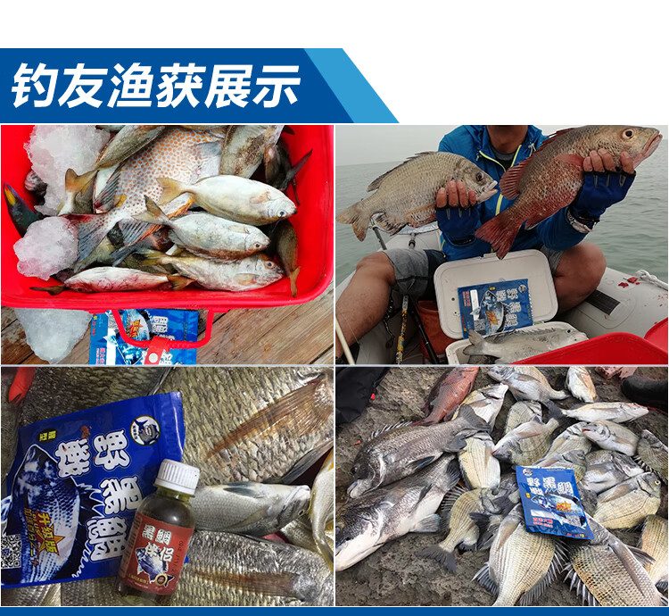 黑鲷道饵料(黑鲷鱼用什么饵最好)