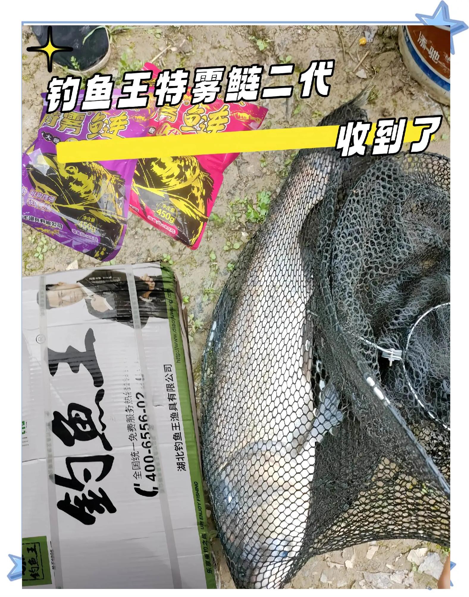 台钓钓鲢鱼用饵料(台钓鲢鱼用什么饵最好)