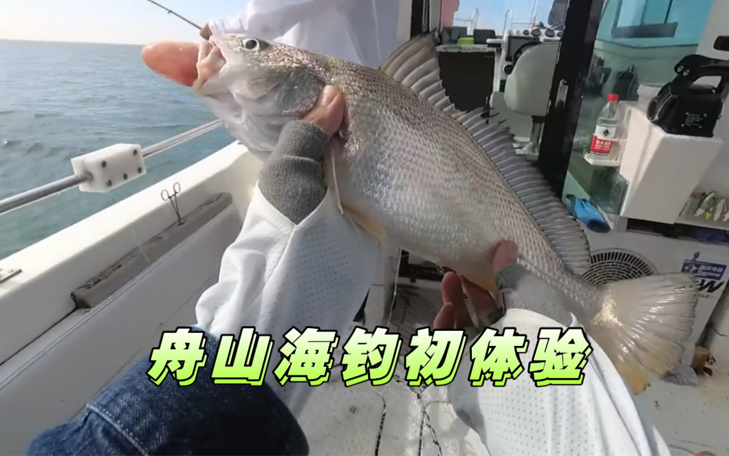 海钓舟山(舟山海钓一般都去哪里)
