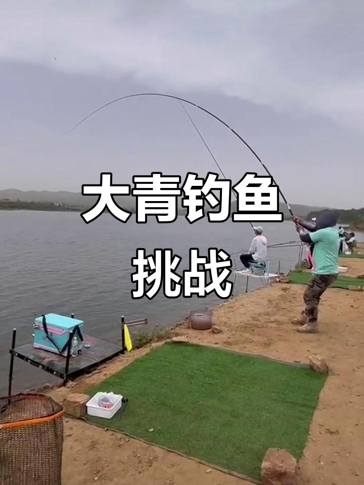 钓大青的经验与技巧的简单介绍