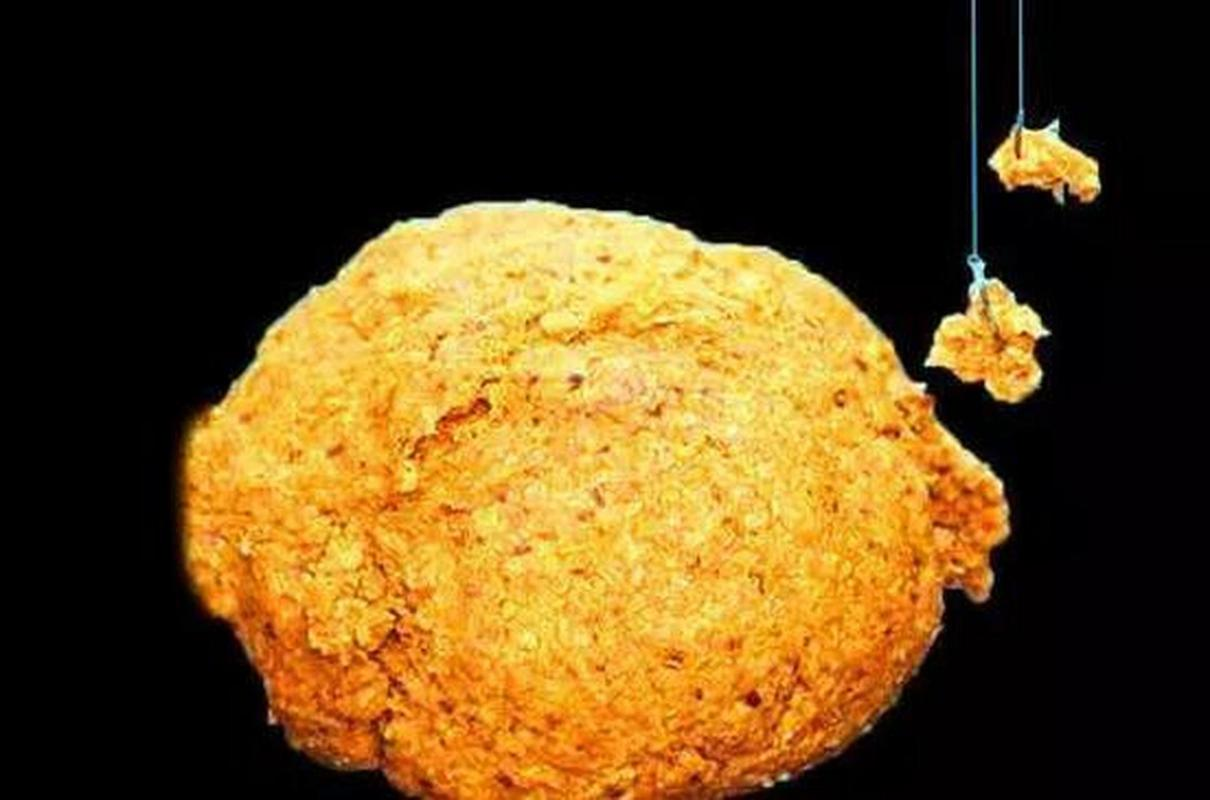爆炸钩用什么饵料(爆炸钩用什么饵料最好)