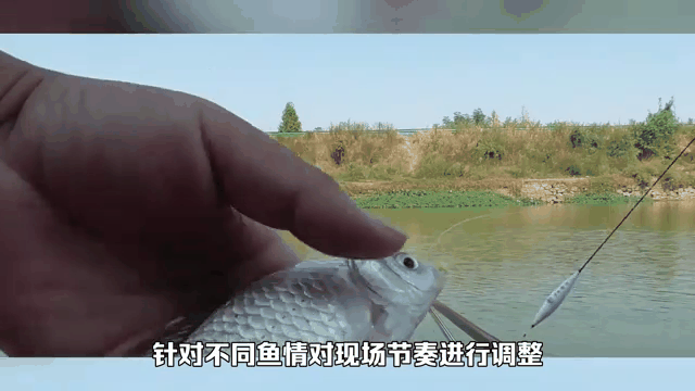 早春垂钓鲫鱼技巧(早春钓鲫鱼钓深还是钓浅)
