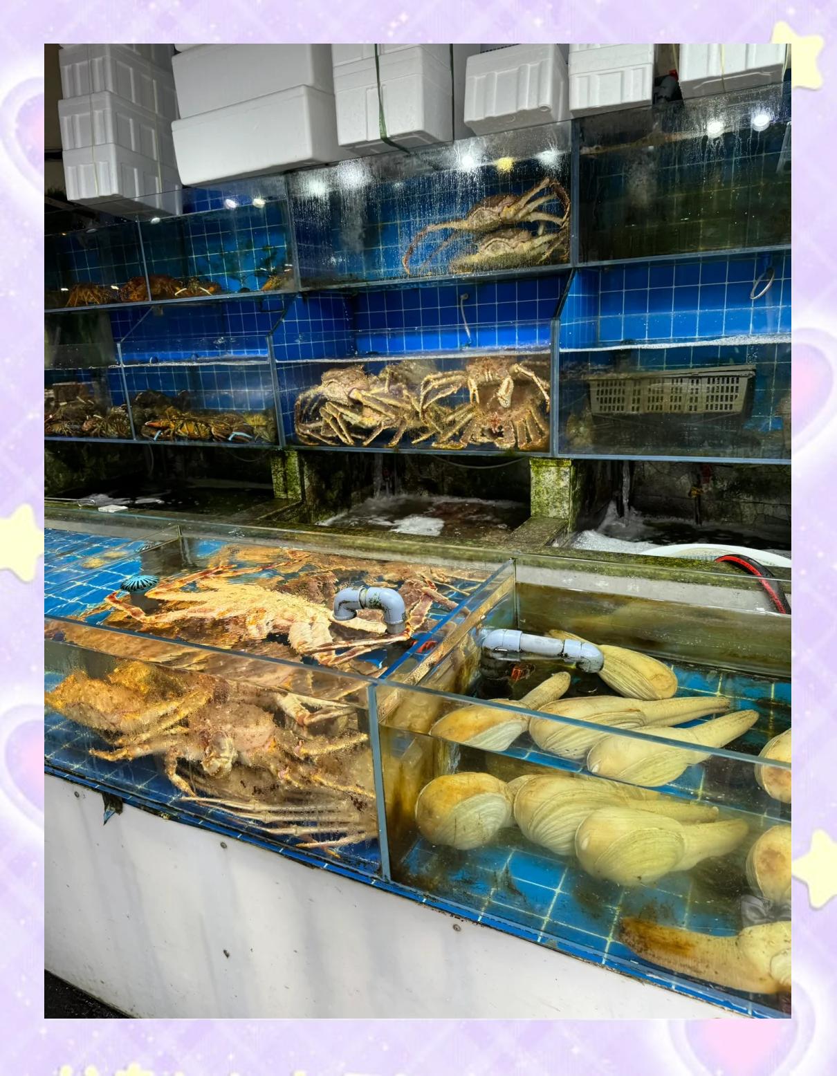 威海地址渔具市场(威海渔具批发商城 地址)