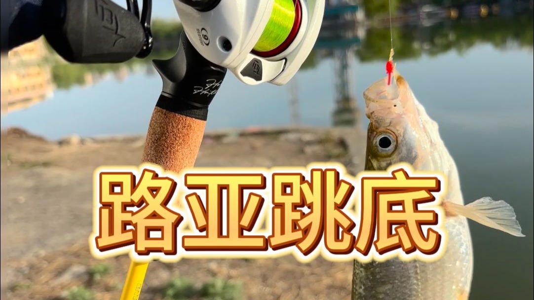 路亚跳底教学(路亚跳底如何判断到底了)