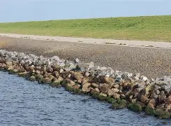 堤坝海钓用手杆(手杆海钓用什么鱼饵)
