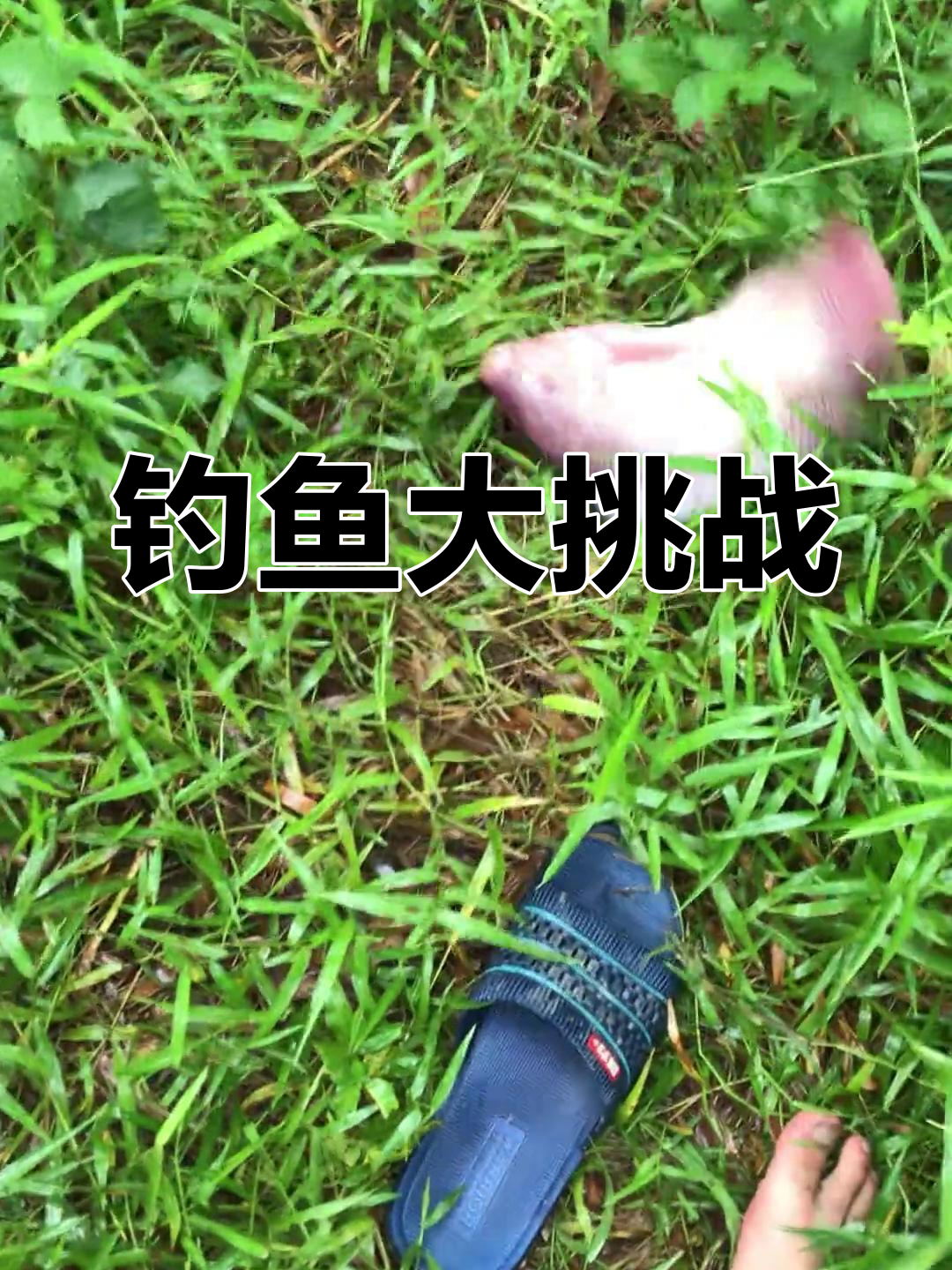 钓红友鱼技巧(钓红友鱼技巧视频)