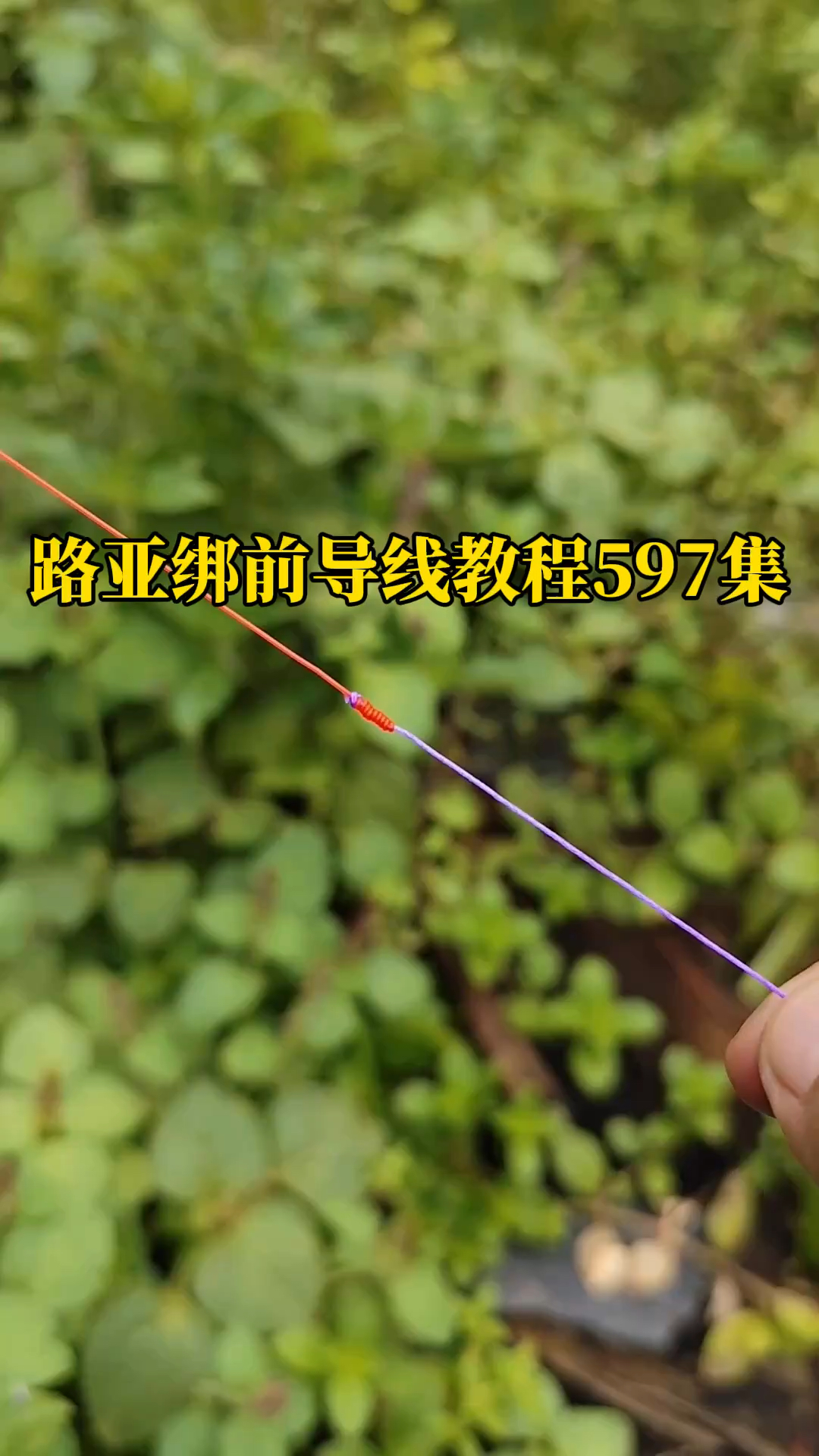 珠江路亚教程(路亚珠江钓用什么饵最好)
