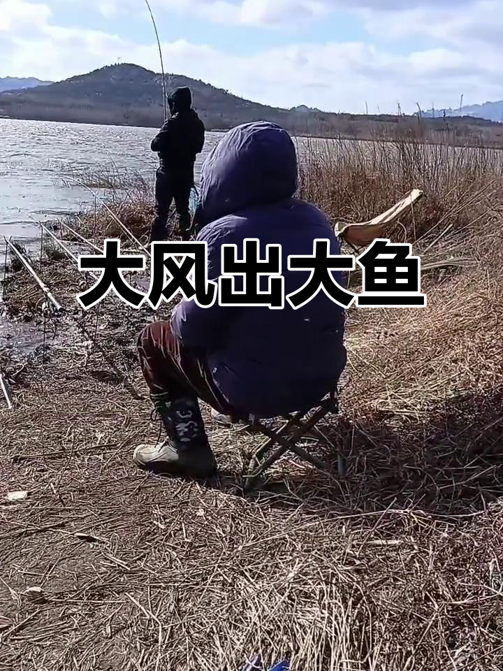 威海钓鱼贴吧(威海钓鱼吧 百度贴吧)