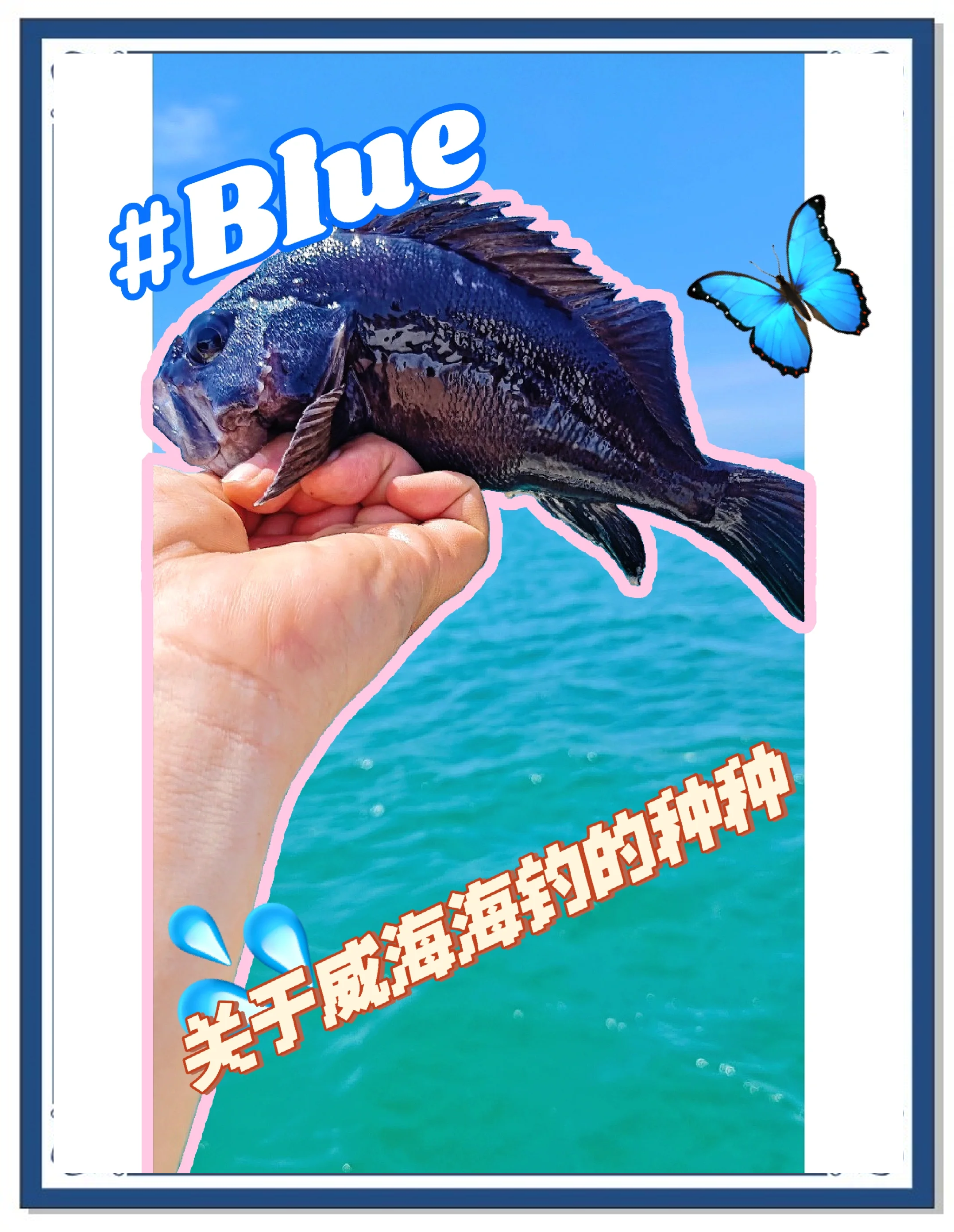 海钓大亨技巧(海钓大师app最新版)