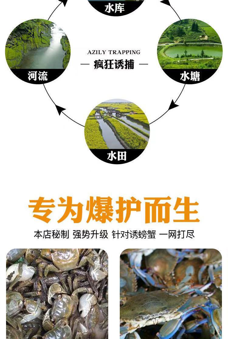 海螃蟹饵料(海钓用螃蟹做饵怎样钩法)