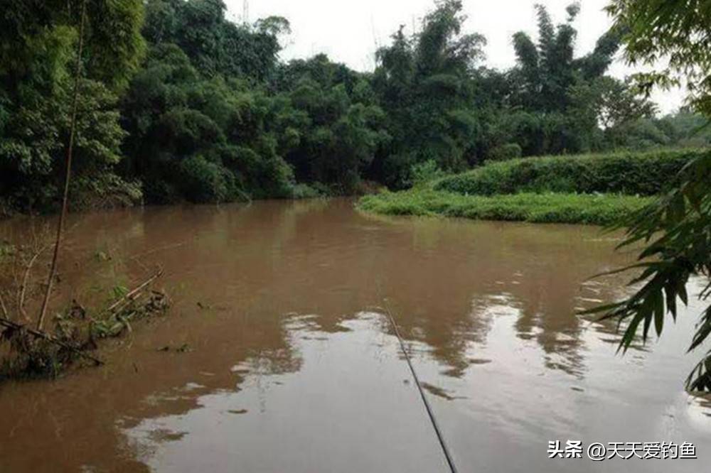 入秋雨天钓鱼的技巧(入秋雨天钓鱼的技巧和方法)