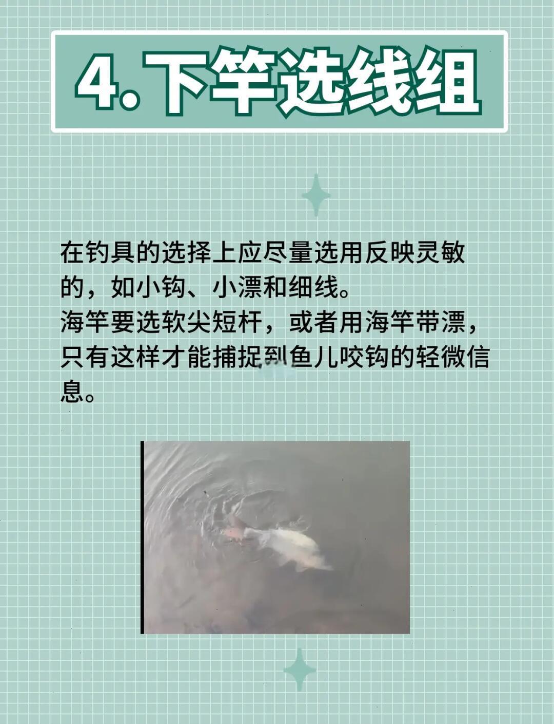 面粉钓鱼技巧(面粉钓什么鱼最好)