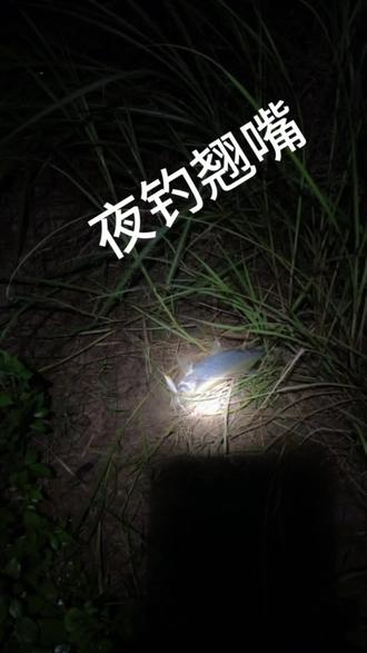 冬季夜钓翘嘴的技巧(冬季夜钓翘嘴的技巧图解)
