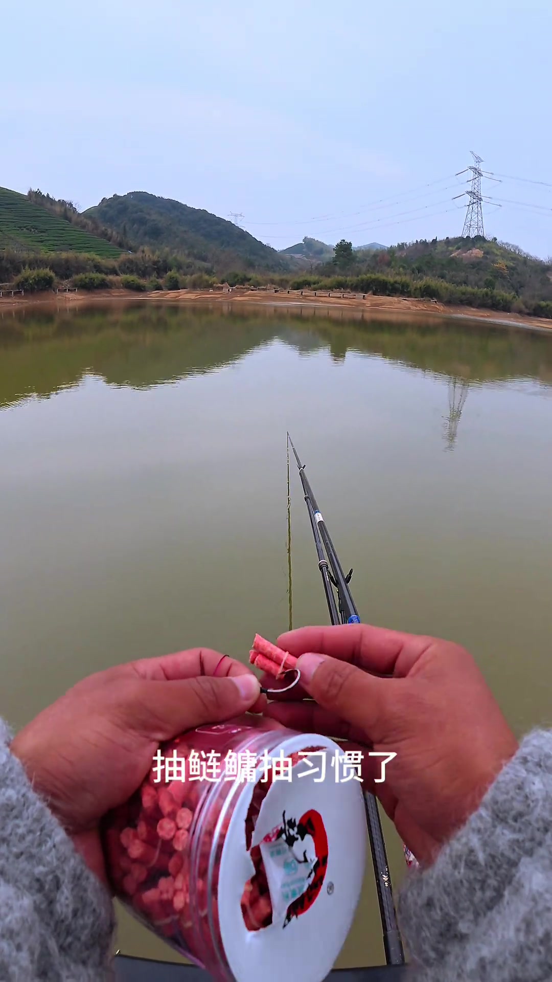 手竿钓大青鱼技巧(手竿钓大青鱼遛鱼视频)