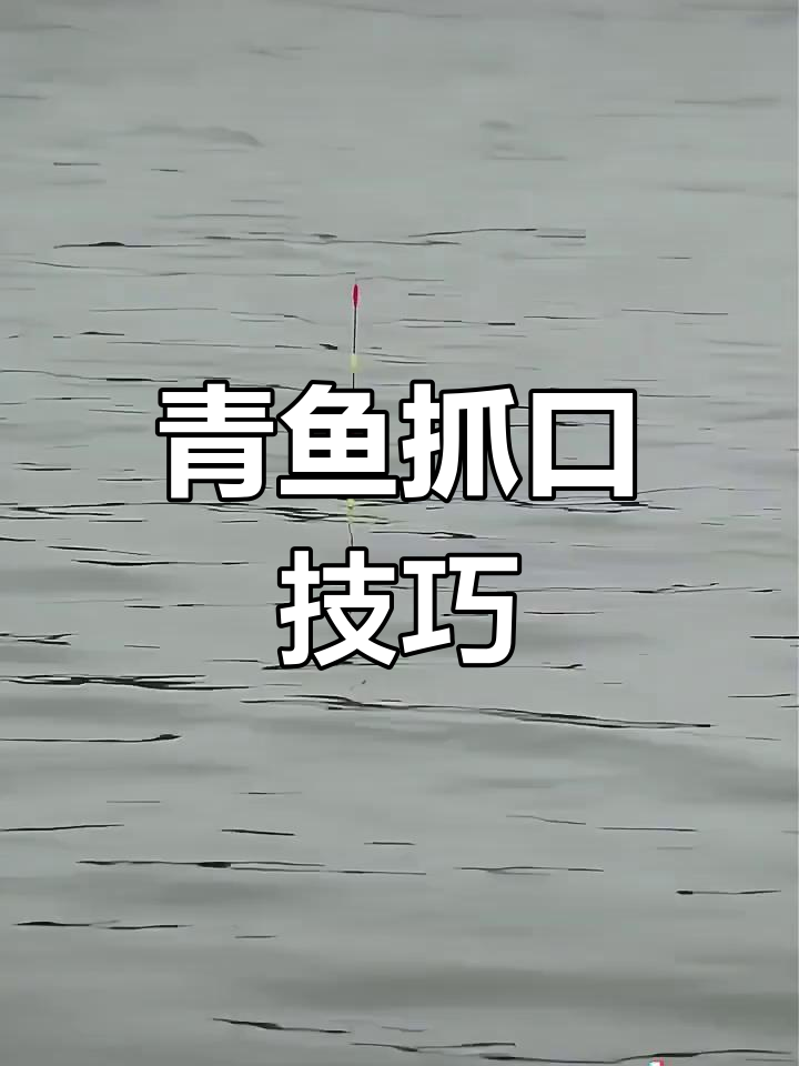 手竿钓大青鱼技巧(手竿钓大青鱼遛鱼视频)