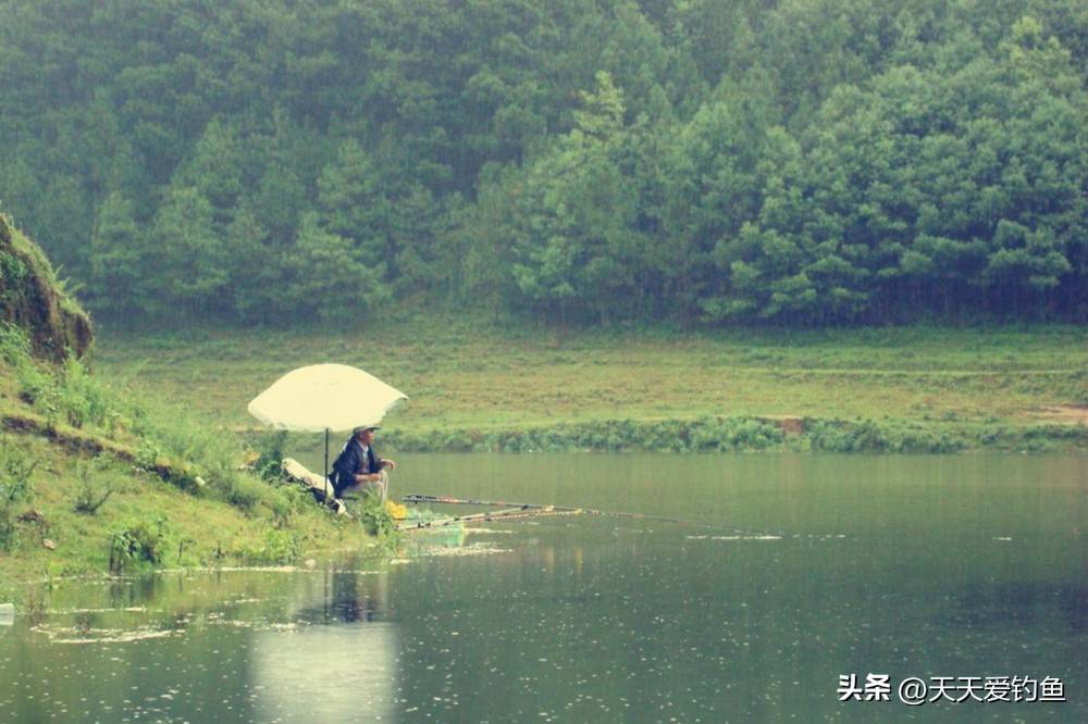 春天雨天钓鱼技巧(春天雨天钓鱼钓点选择)
