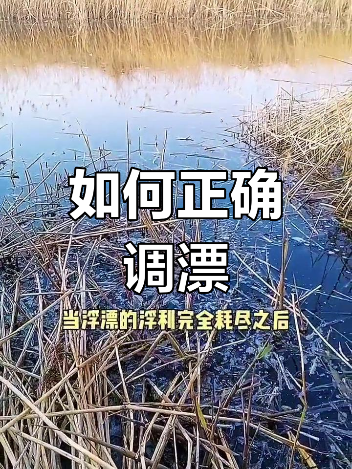 水库钓鱼调平水技巧视频(野钓调平水的详细方法与解析)