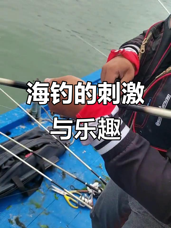 船钓鱼技巧(船上如何钓鱼)
