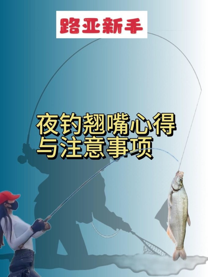 夜钓翘嘴技巧(夜钓翘嘴鱼的钓法)