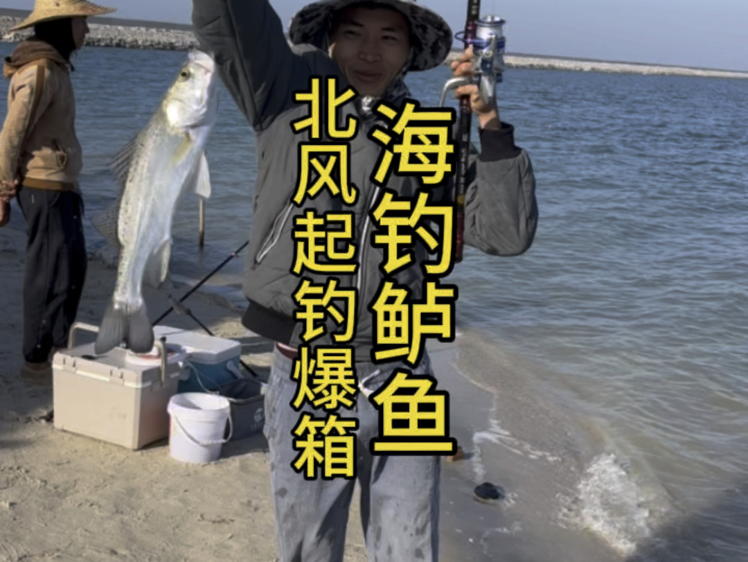 海钓季节(海钓季节表)
