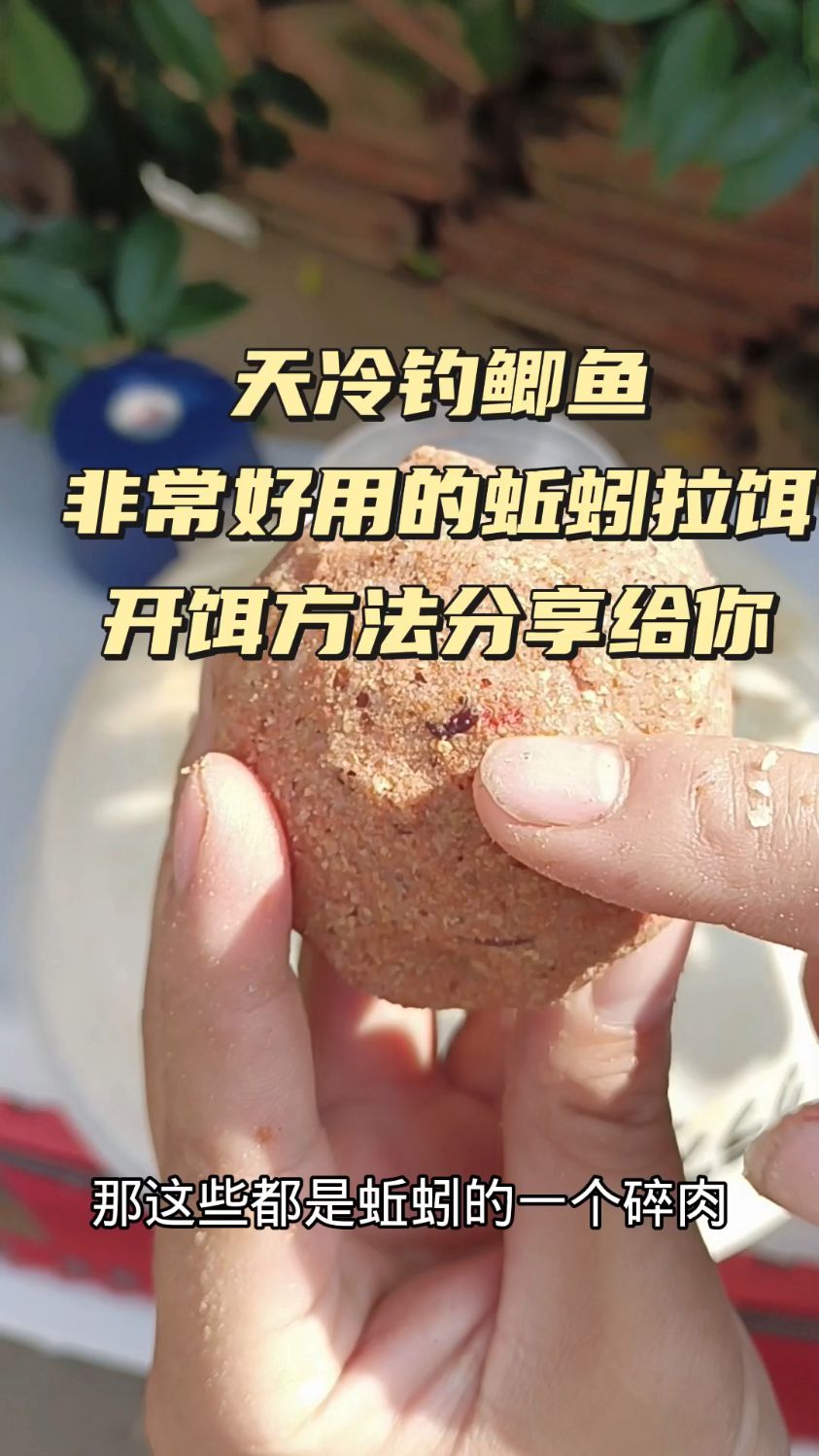 各类状态饵料开法(各类状态饵料开法视频)