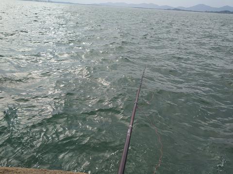 海钓用淡水调漂(海钓调漂技巧大全)