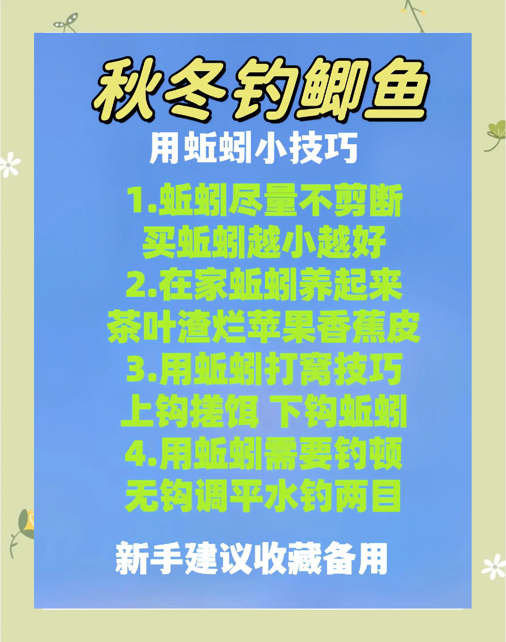 冬季夜钓大板鲫技巧(冬季夜钓大板鲫技巧图解)