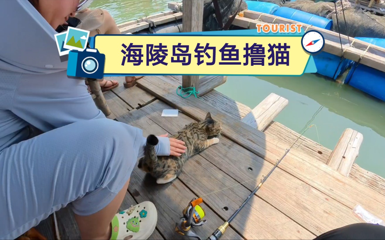 渔排上钓鱼技巧(渔排是怎么固定的)