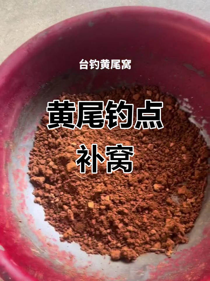 钓鱼补窝的方法和技巧(钓鱼补窝的方法和技巧视频)