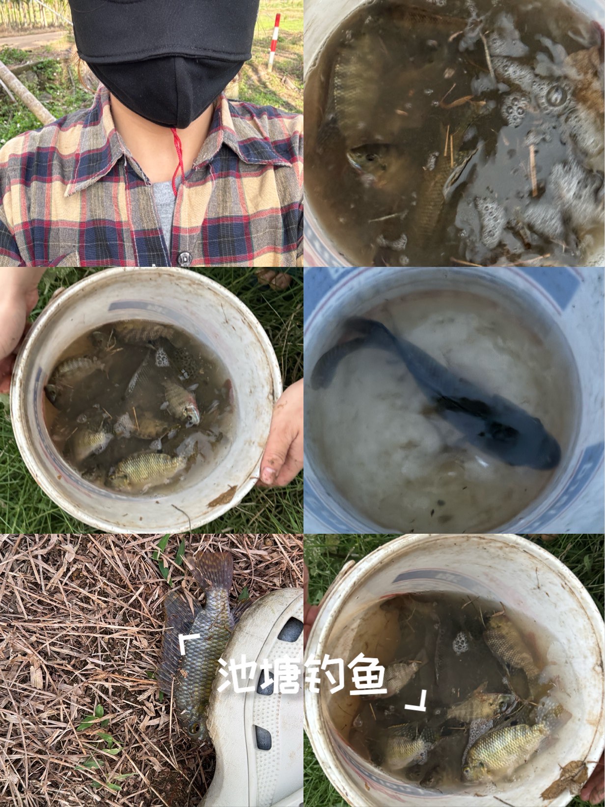 钓罗非鱼的方法与技巧(钓罗非鱼的方法与技巧图解)