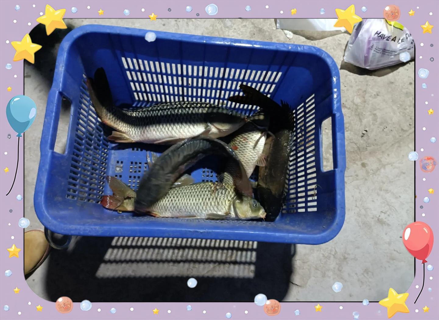 关于北京钓鱼技巧大全视频的信息