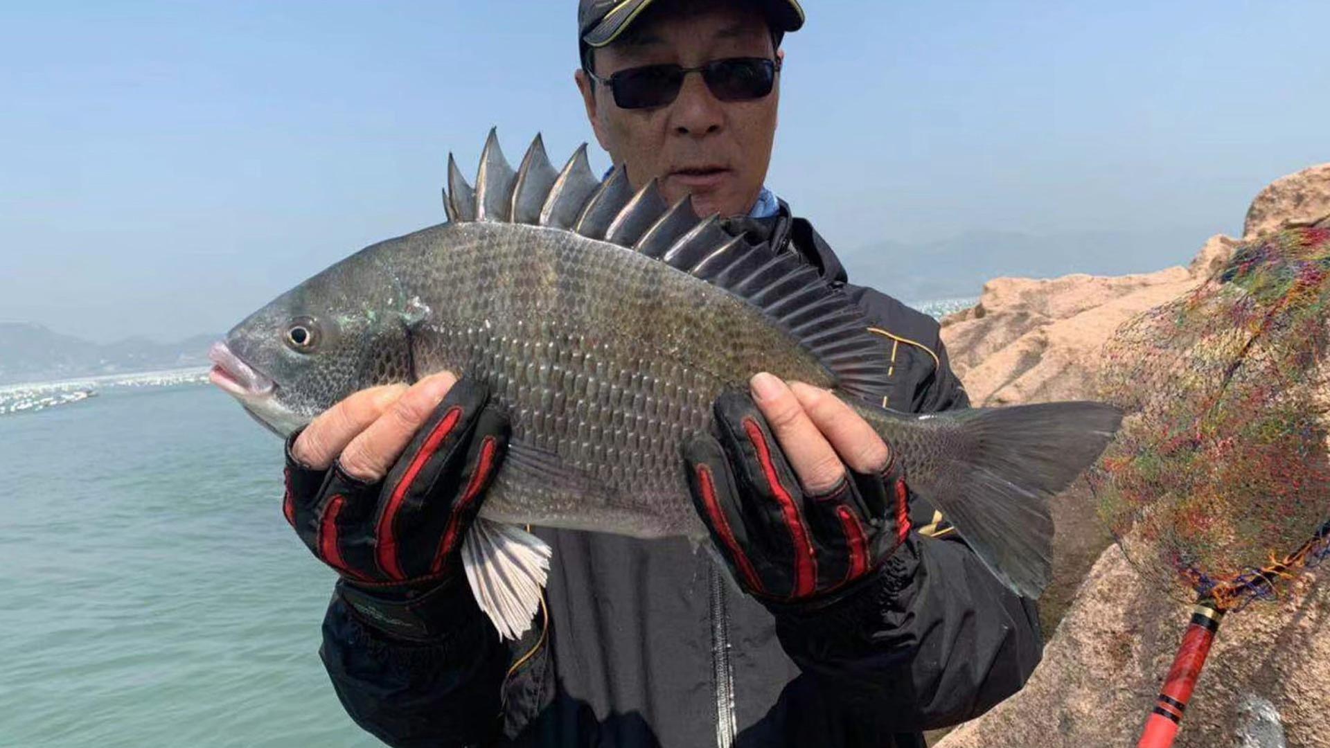 浙江矶钓黑鲷技巧视频(2019年矶钓黑鲷视频)