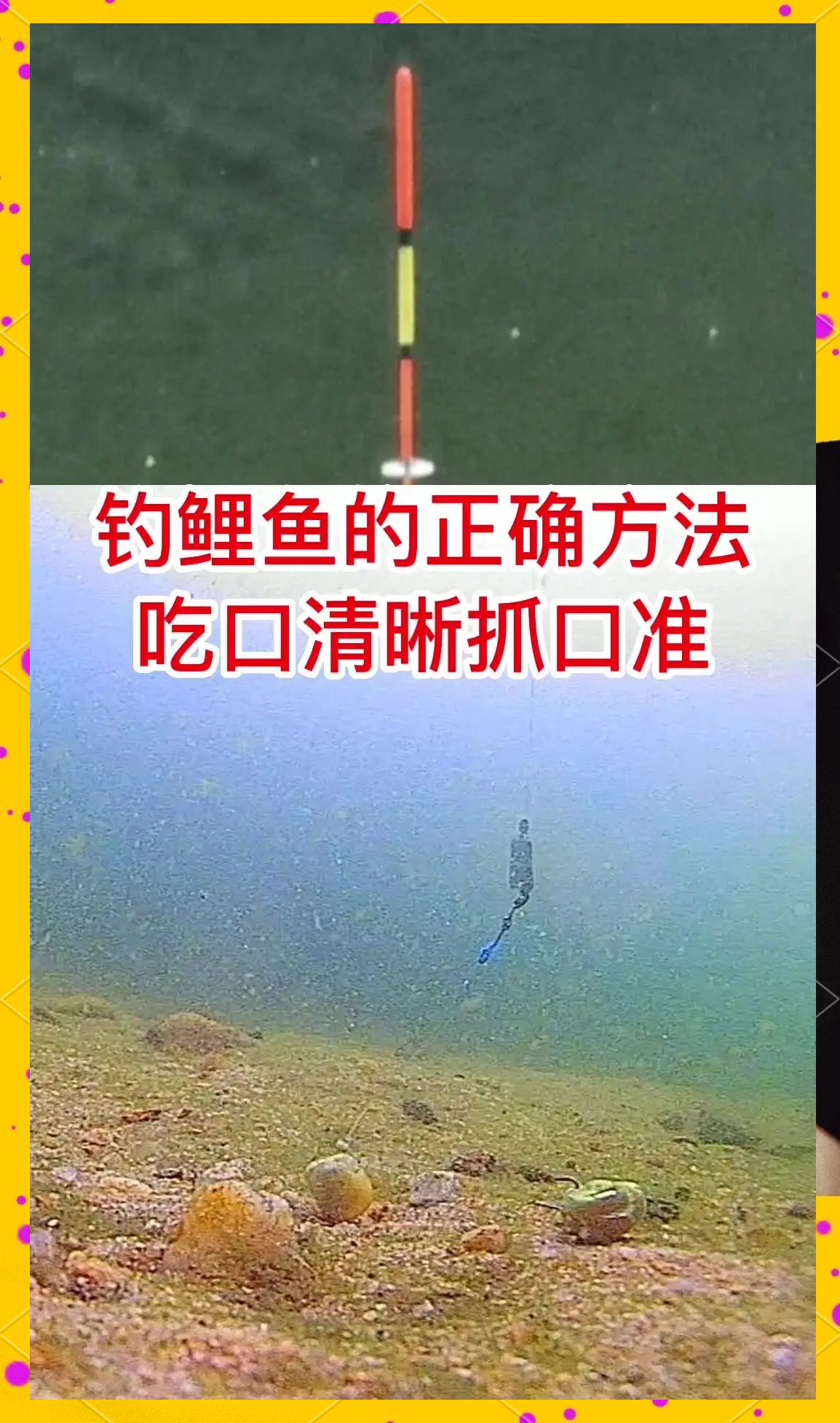 饵料比重不同调漂(饵料比重不同调漂方法)