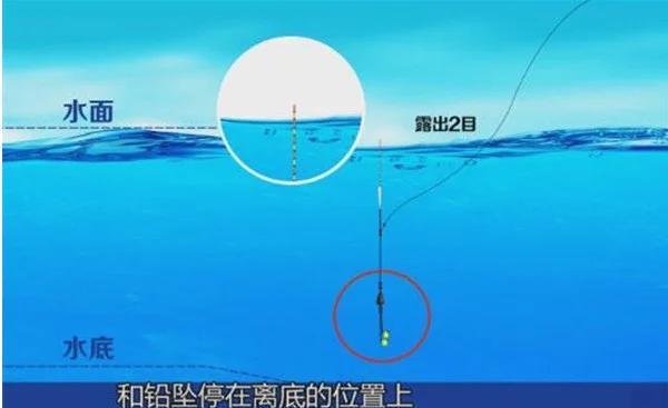 饵料比重不同调漂(饵料比重不同调漂方法)