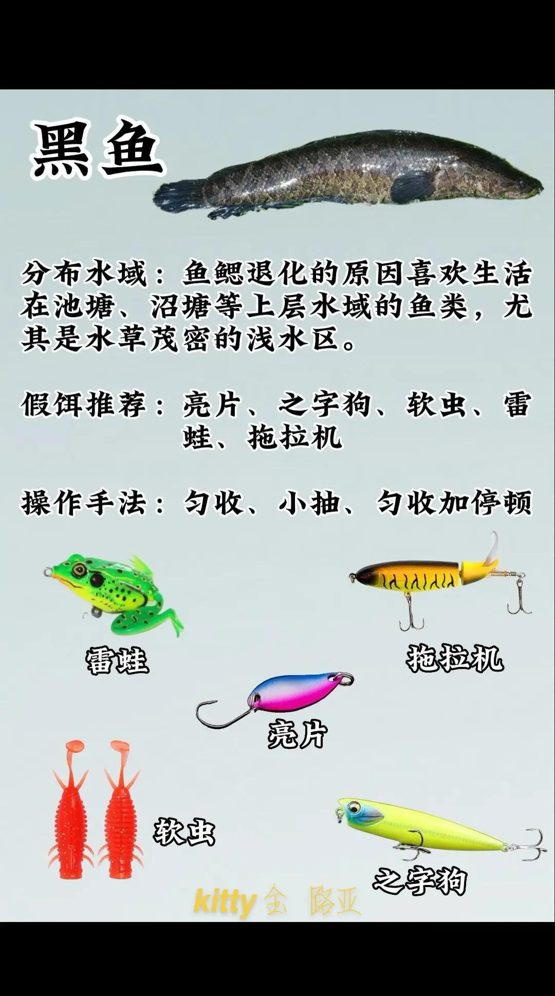 淡水路亚钓鱼技巧(淡水路亚钓鱼视频大全)