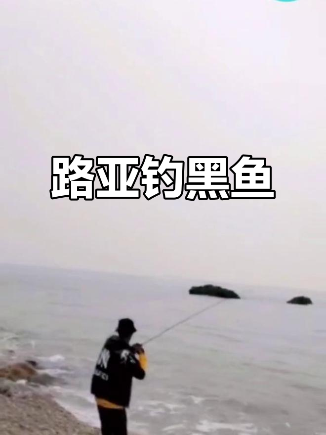 路亚黑鱼技巧(路亚如何钓黑鱼?快看实战技巧解析)