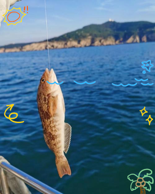 海钓有口打不中(海钓有鱼吃打不上钩怎么回事)