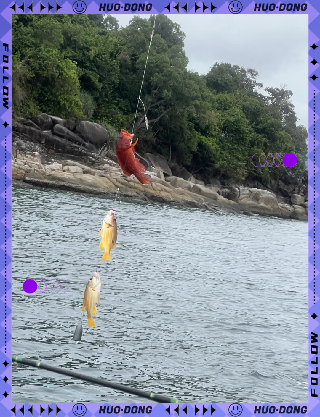 海钓有口打不中(海钓有鱼吃打不上钩怎么回事)