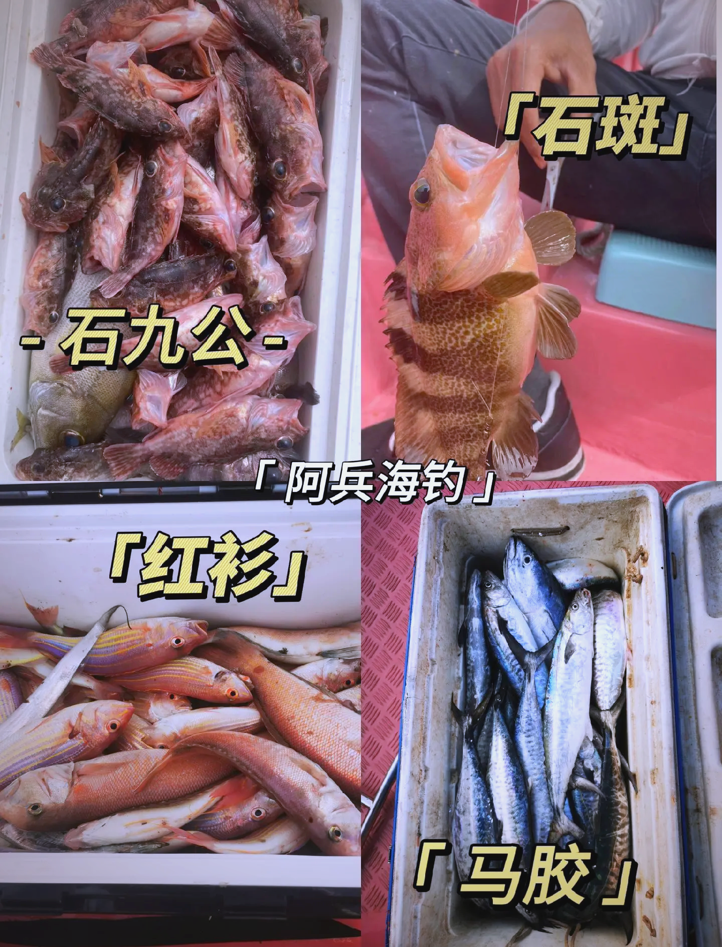 海钓有危险吗(海钓容易钓到鱼吗)