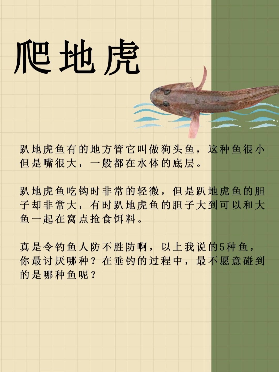 钓鳑鮍技巧(用什么钓蟛蜞)