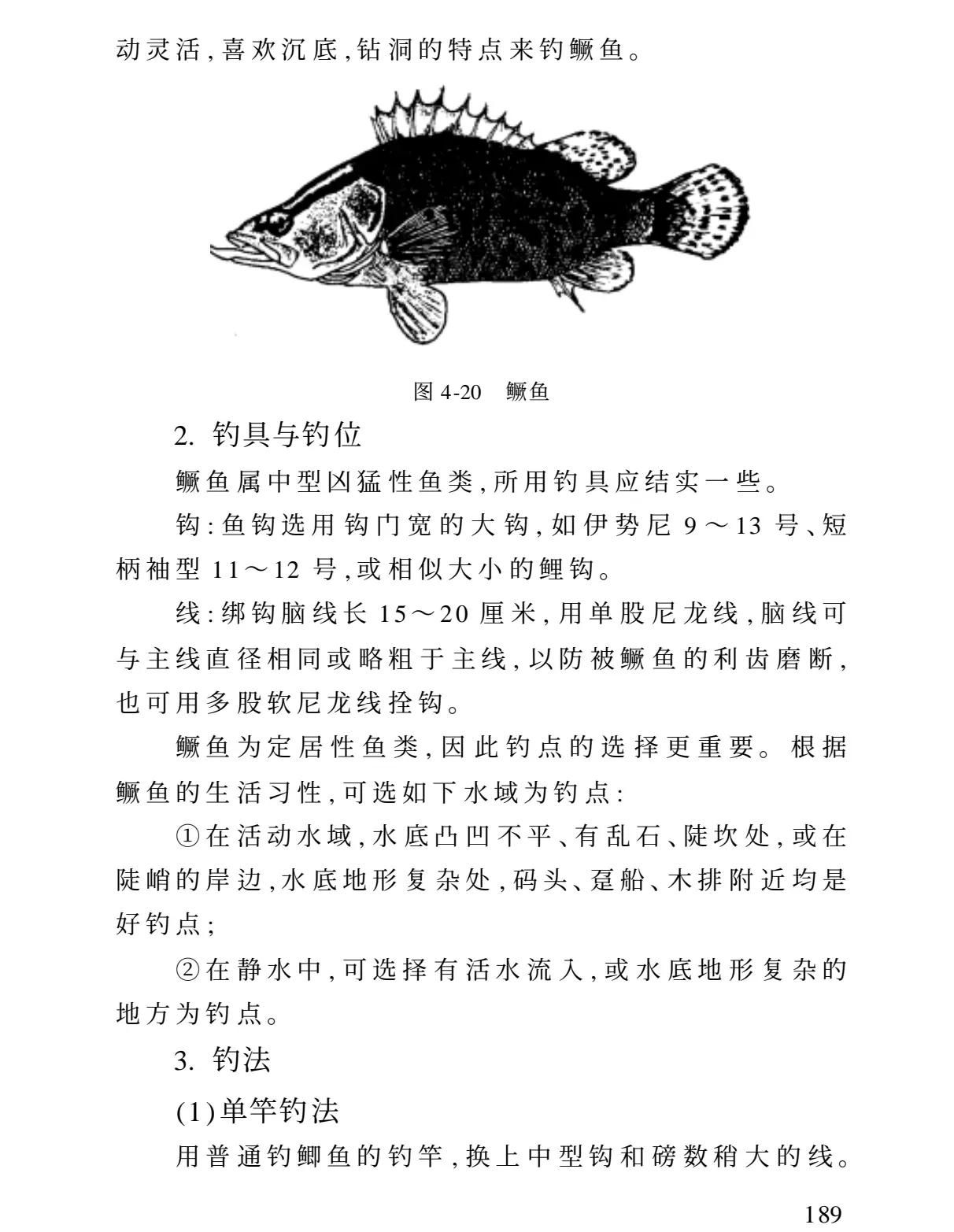 夜钩嘎鱼技巧(夜钓嘎鱼鲶鱼技巧)